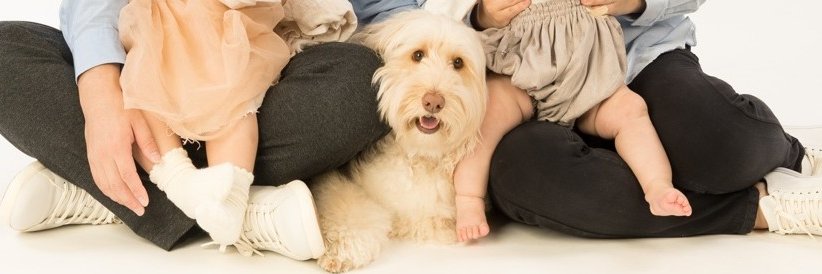 Chiaki@すなばこ2026新年 banner