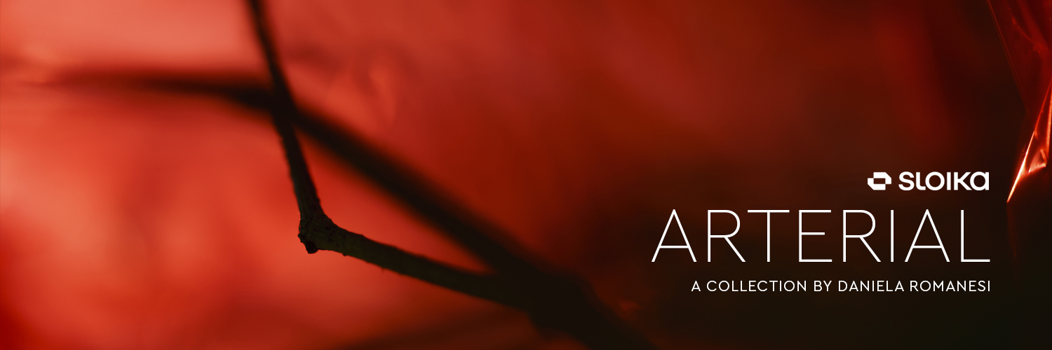 Dani Romanesi banner