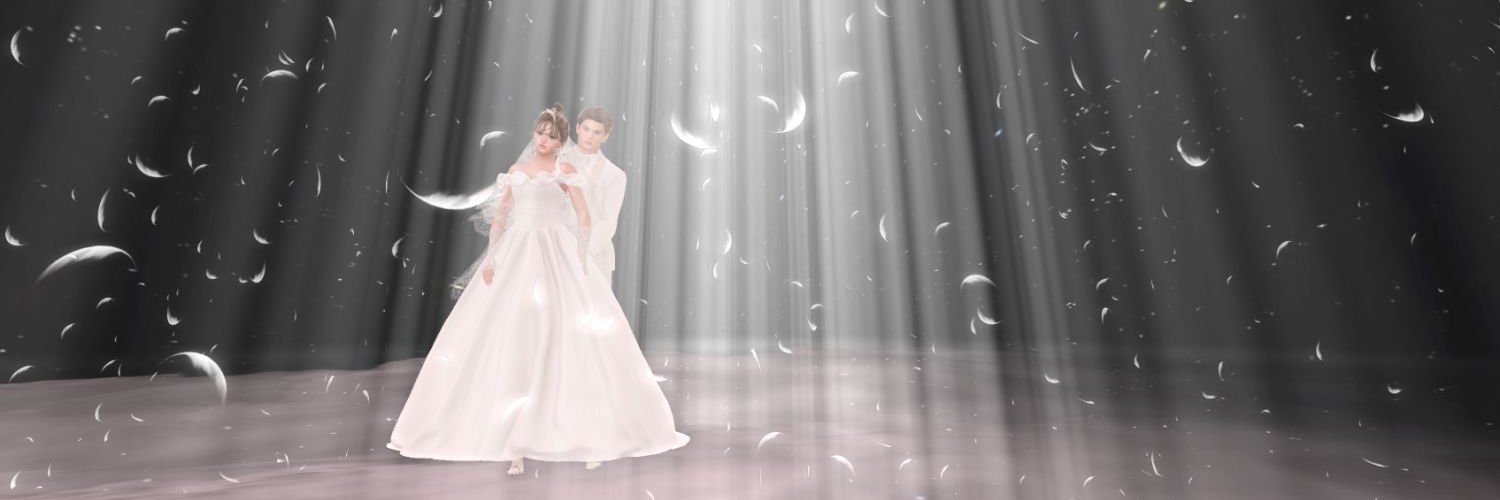 namisl's profile banner image