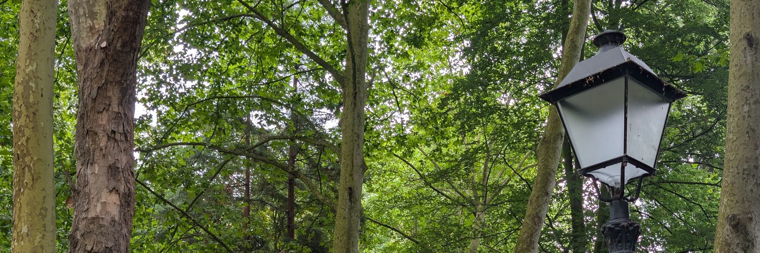 Jacq of all trades 🌈 banner