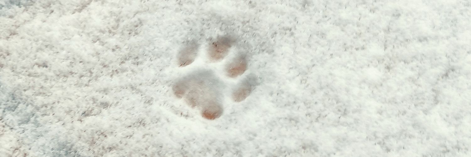 hedwen's profile banner image