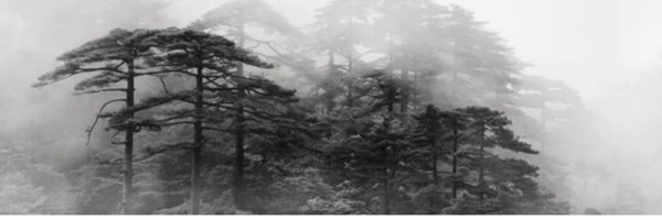 MBoomo Profile Banner