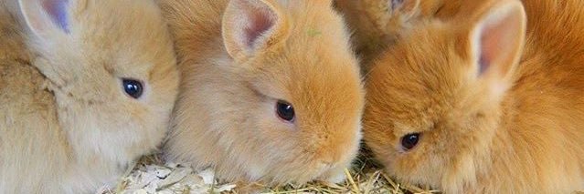 「𝐇𝐎𝐏 𝐓𝐎 𝐈𝐓~!」 banner