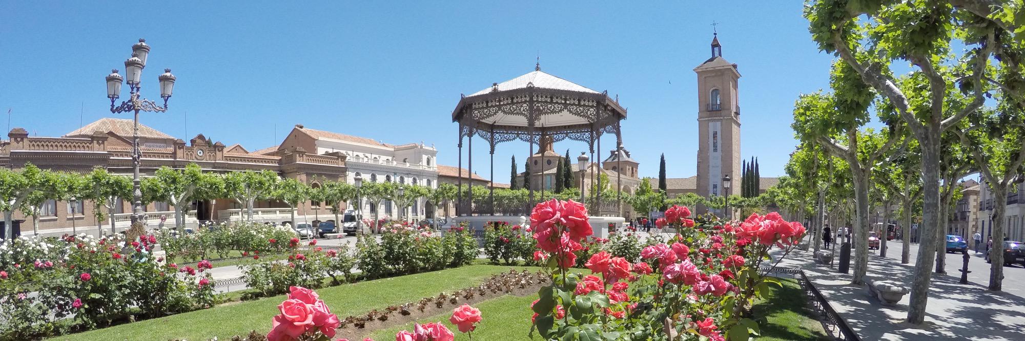AHvendano's profile banner image