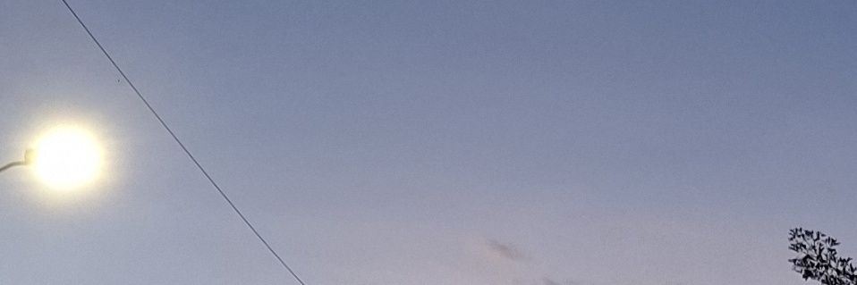 Charbee ♡ PNGTuber ! banner