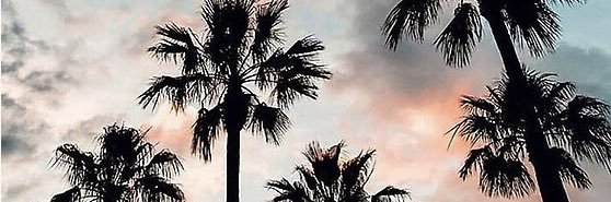 amandayesso's profile banner image