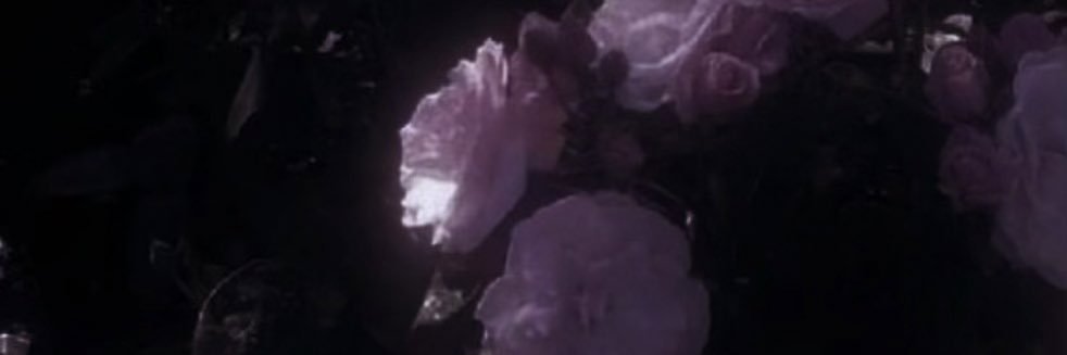 まゆ banner