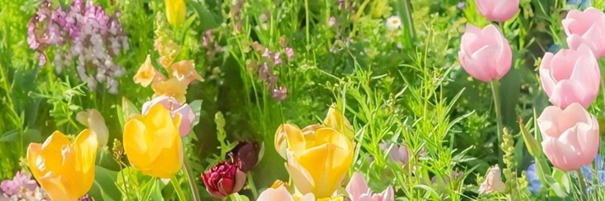 Adelle ꫂ❁ (0.6/4) banner