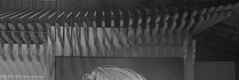 Noir banner