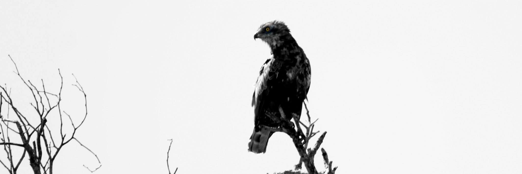 taylorjus's profile banner image