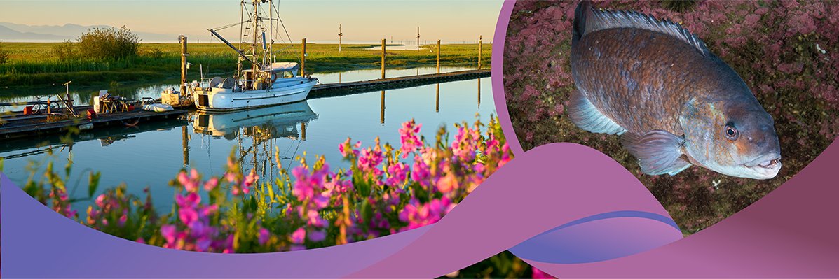 Fisheries and Oceans banner