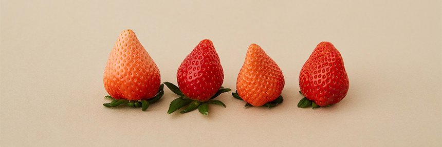 딸기맛제티 banner