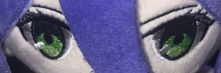 rrouuse's profile banner image