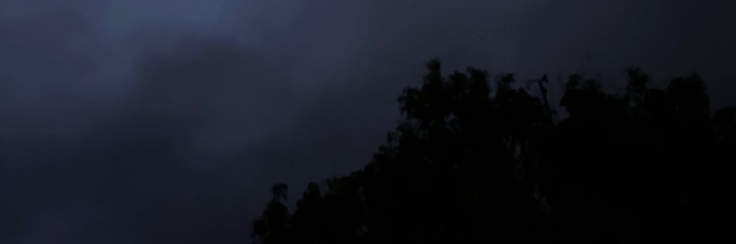 🍍Pineapple🍍 banner