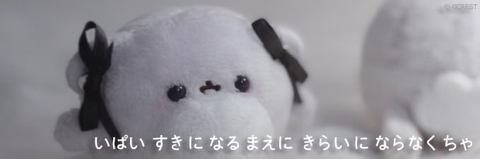 にゃちゃんの箱 banner