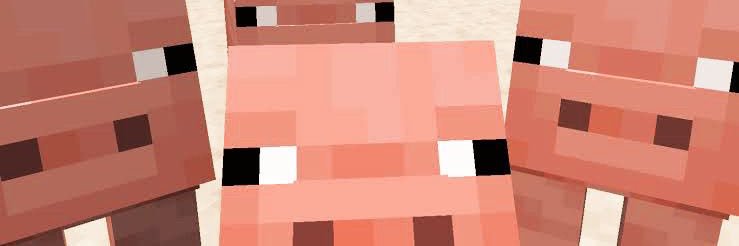 Lngfaishot's profile banner image
