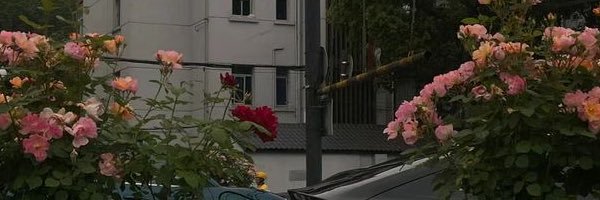 no face banner