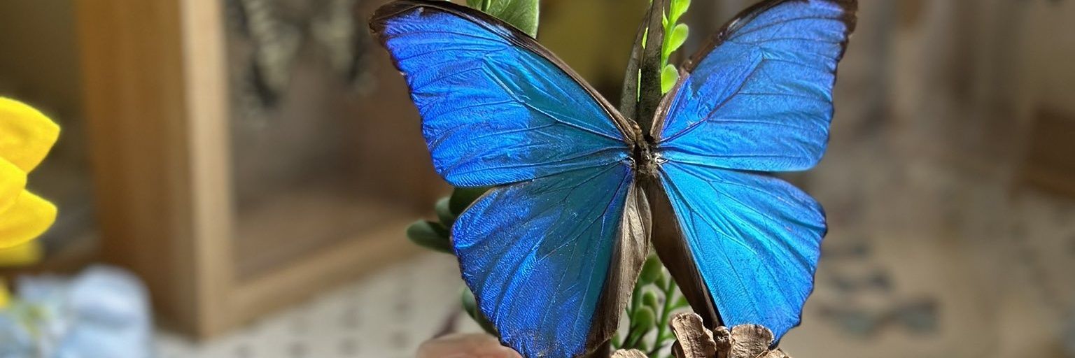 A27277Ali's profile banner image