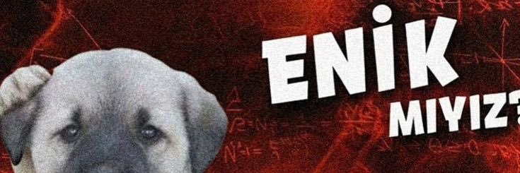 meral tekinoglu banner