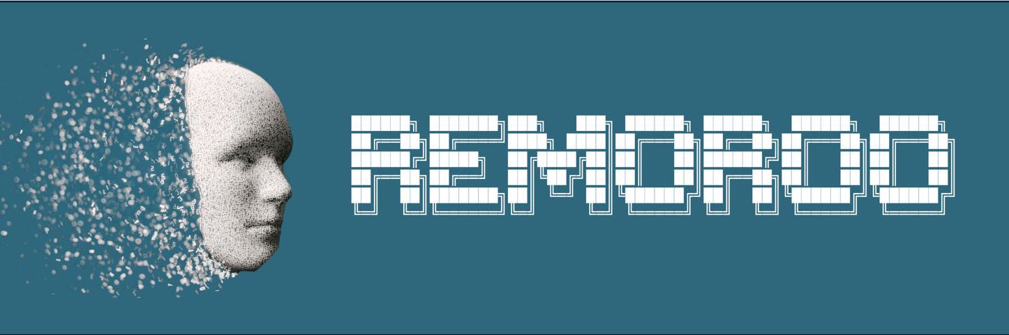 Remoroo banner