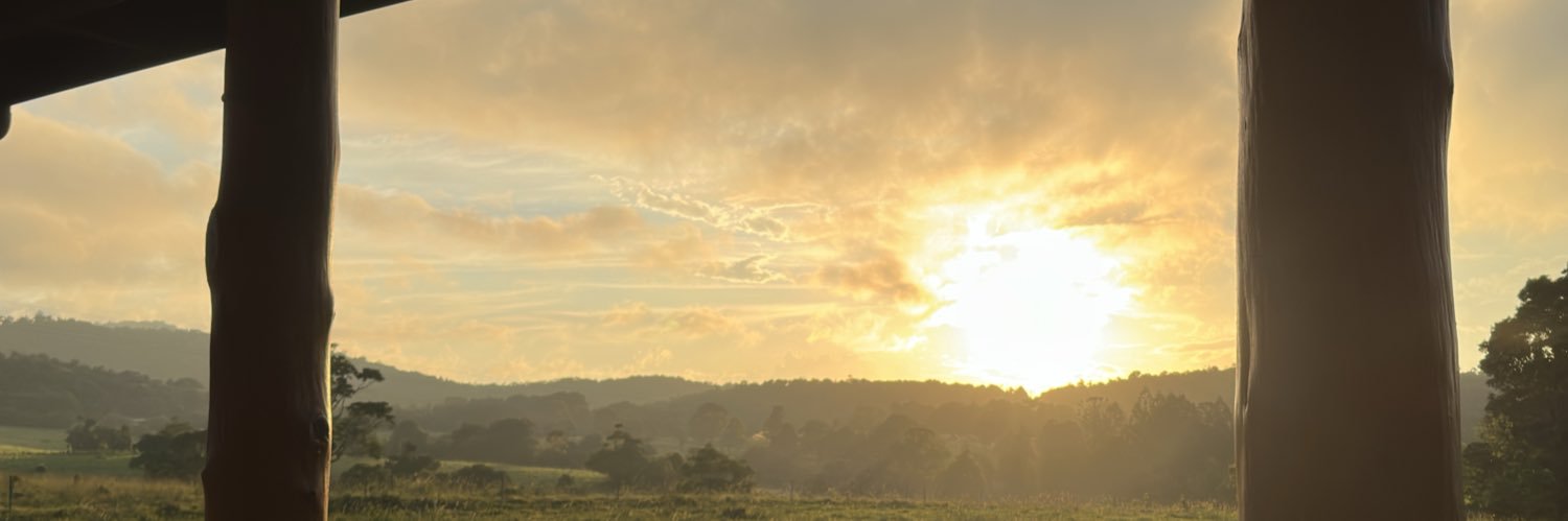 Brachlan🌳🪓 banner