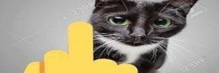 Darrenwilldestroy banner