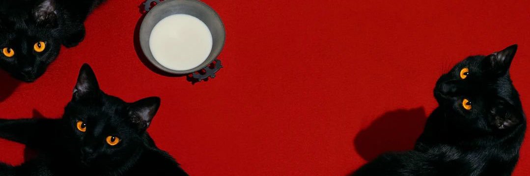 escorpión banner