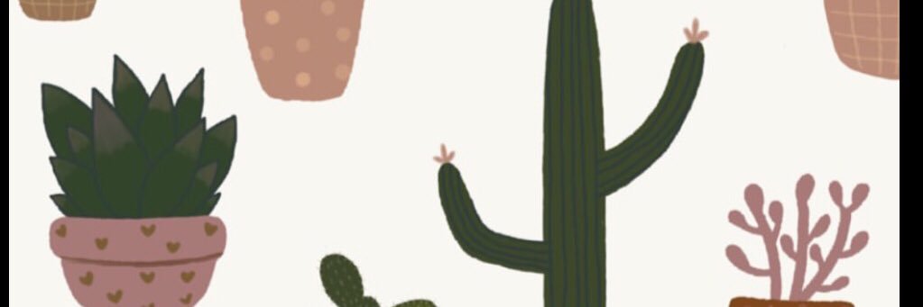 ririncumil's profile banner image