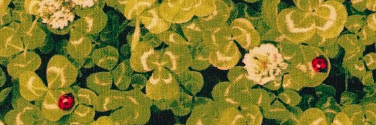 Aar0n🌿 banner