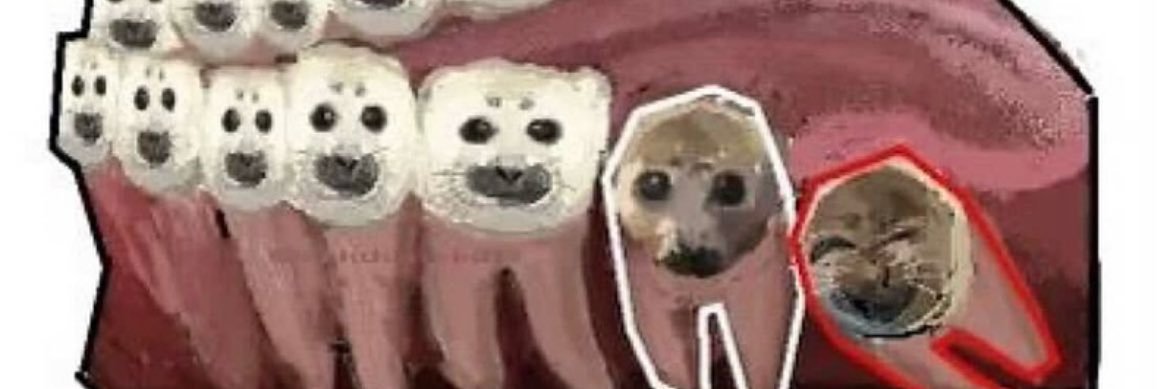 hamster banner