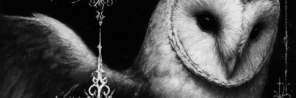 #BLOODYVALENTINE banner