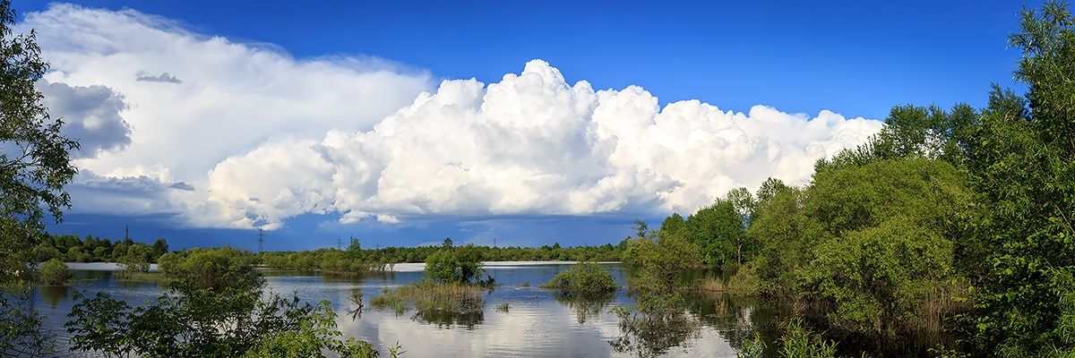 grfmaniak's profile banner image