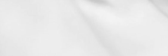 🌼 banner
