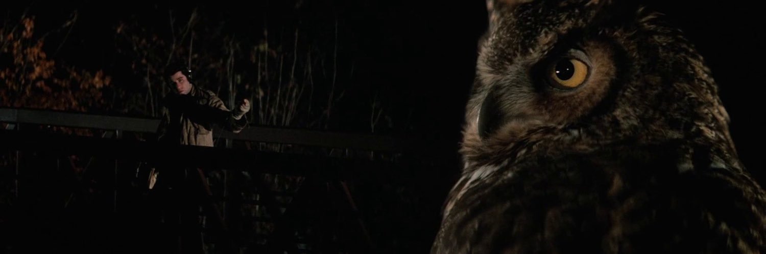 𝘼𝙢𝙞𝙧 banner