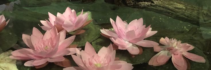 冬 banner