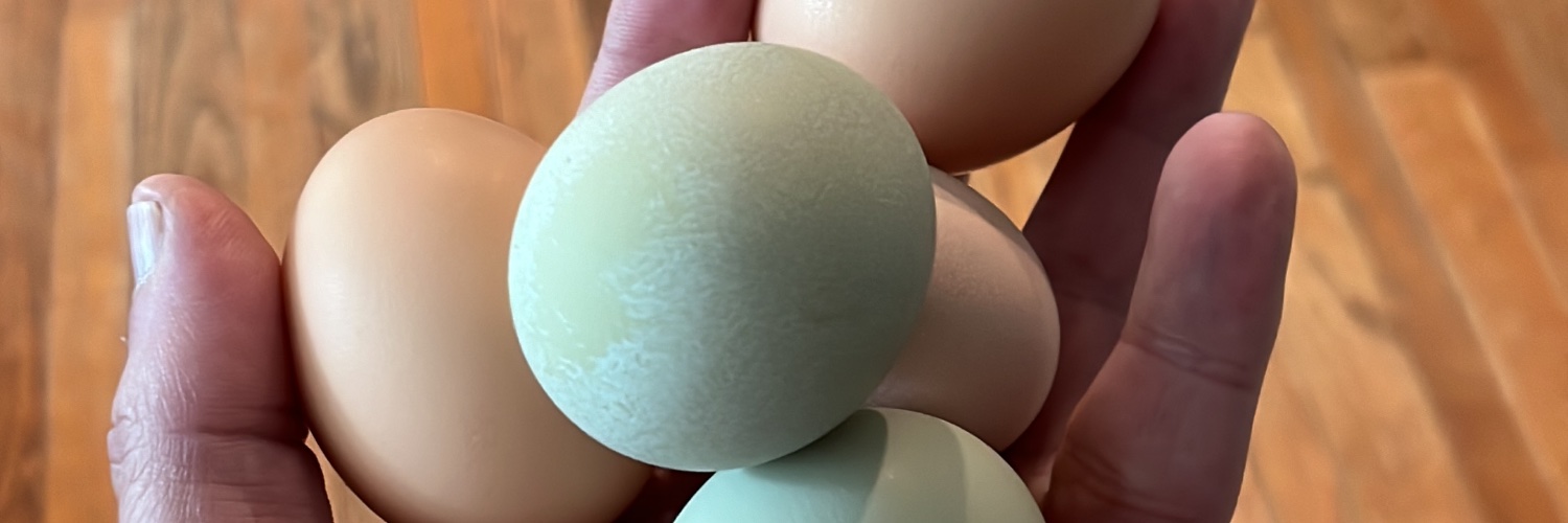 MAMinambres's profile banner image