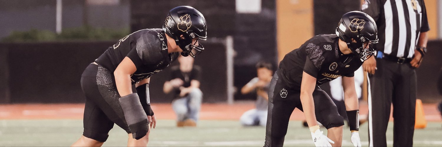 Lee_Triessl's profile banner image