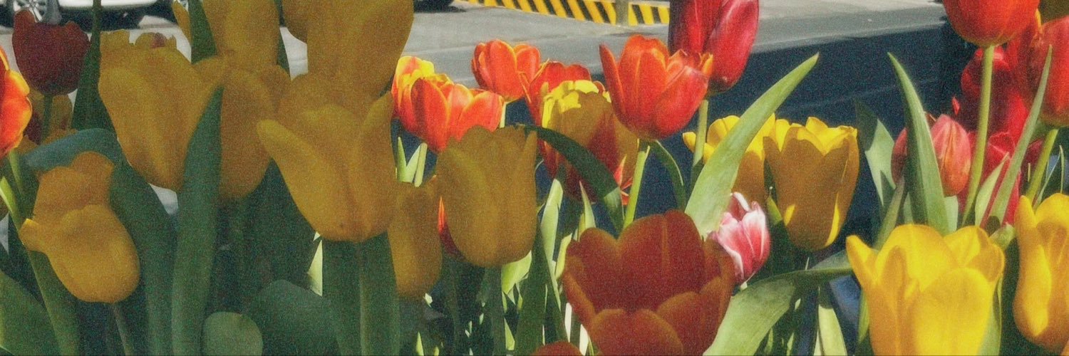 RayBalo_'s profile banner image