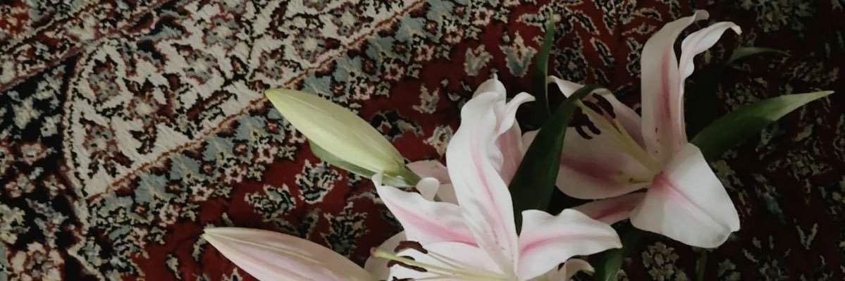 malak_199X's profile banner image