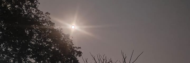 JAISHREE SARAN banner