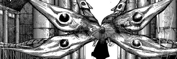 knohkkk's profile banner image