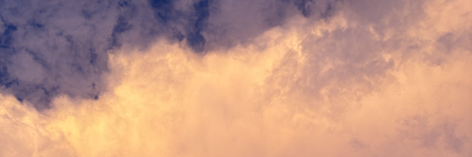 Agatha S M Santos banner