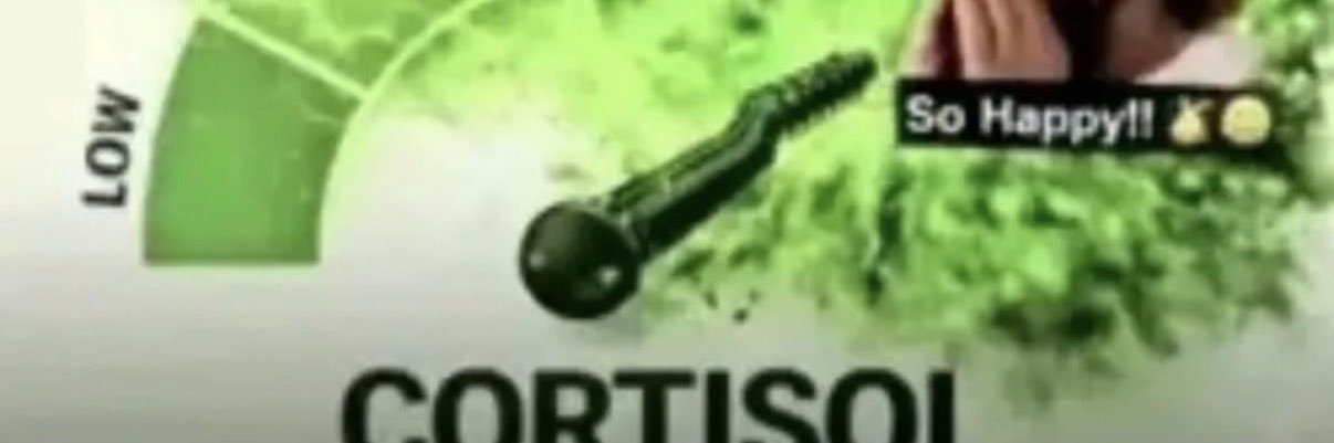 sativa! banner
