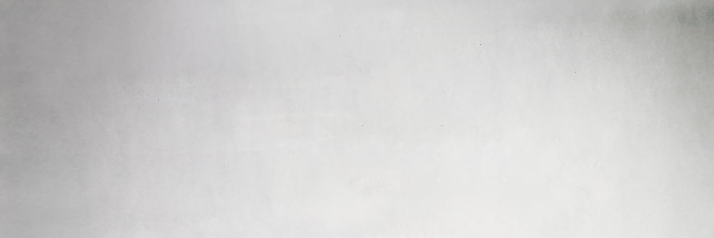 RealSTEVOVO banner