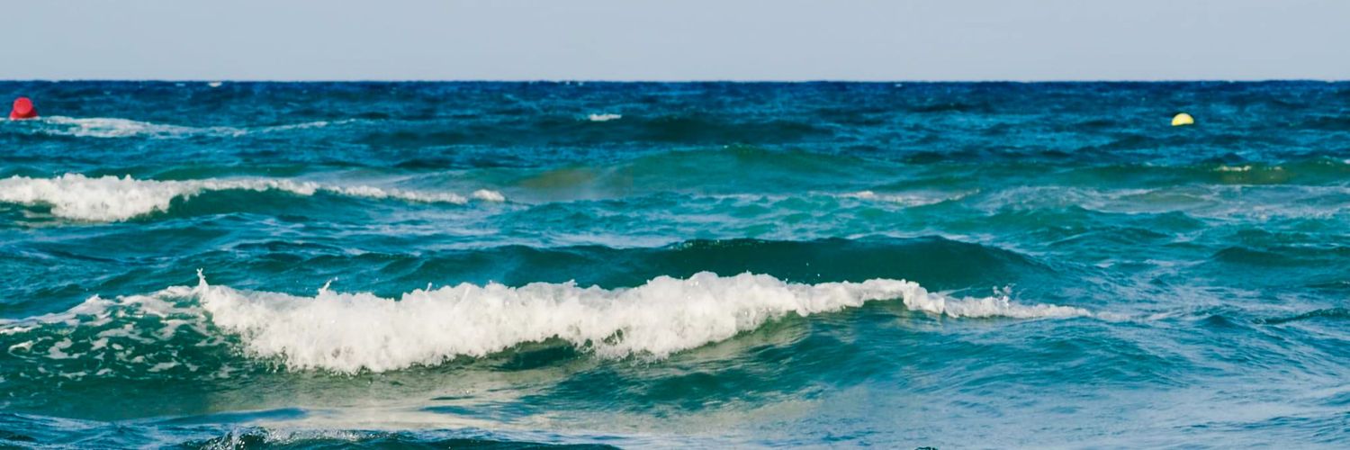 Antonio Albert banner