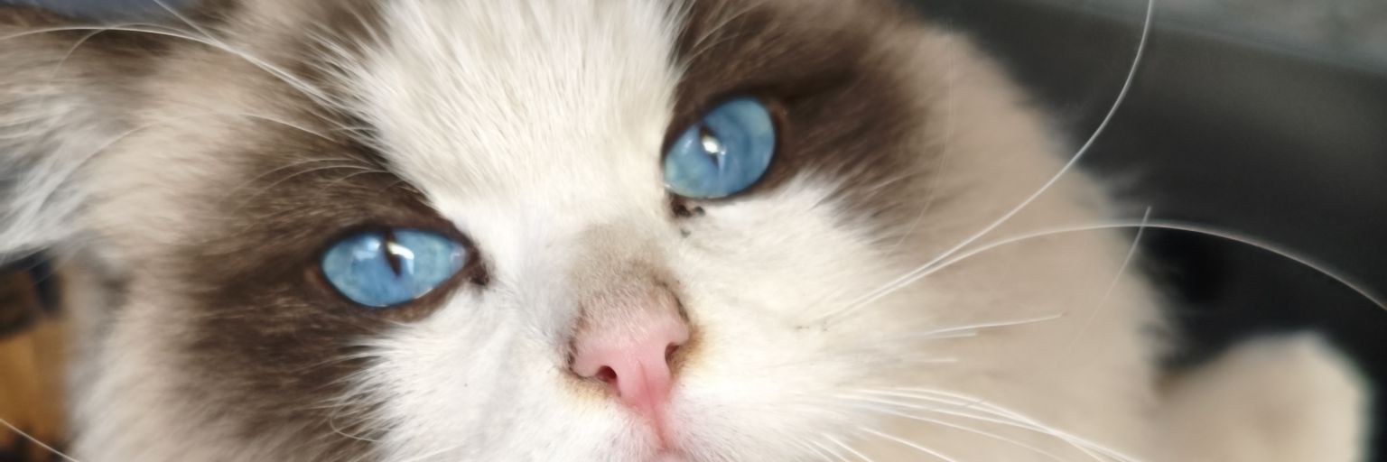 MeganJaime7155's profile banner image