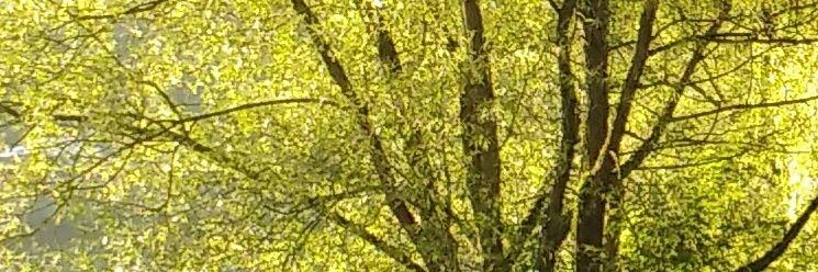 markjones2003's profile banner image