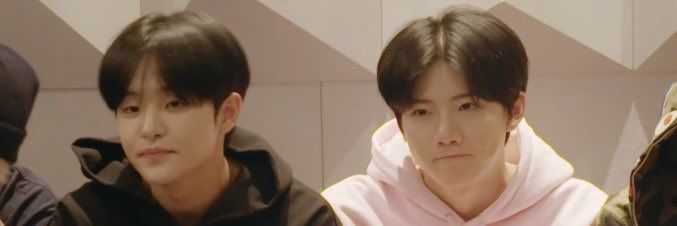 dhieea⋆˚୨୧⋆｡˚ ⋆ banner