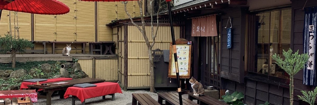 tabako_1226's profile banner image
