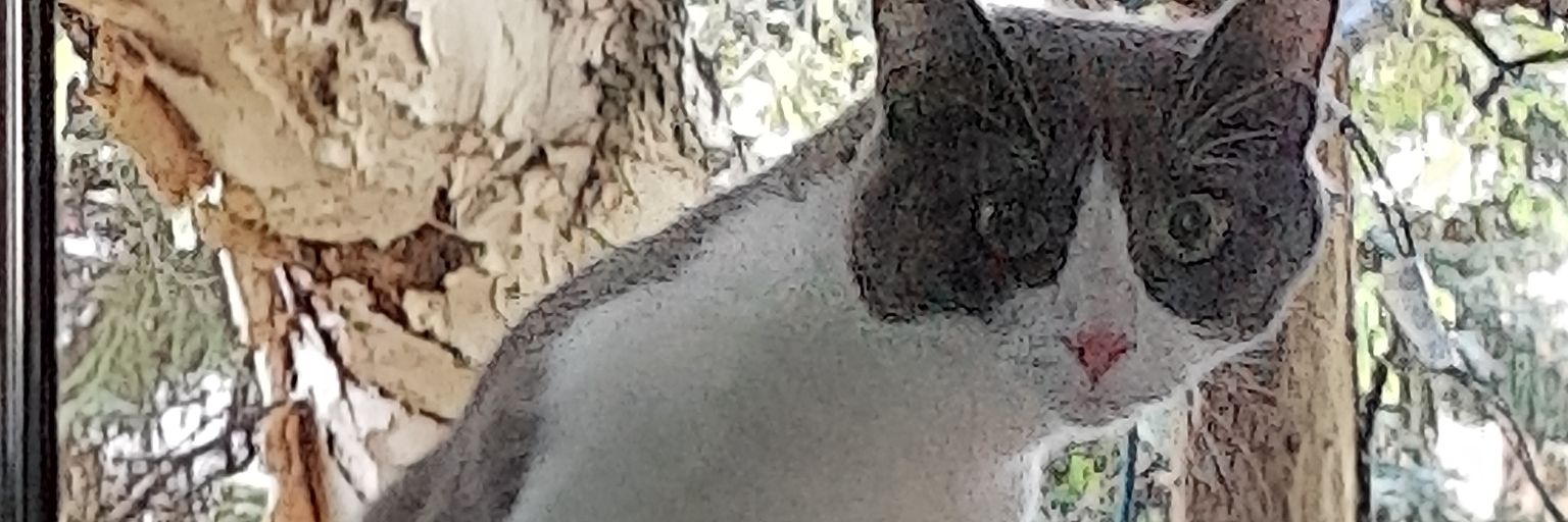 grennie's profile banner image